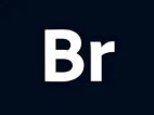 Adobe Bridge 2026(矢量绘图软件) v16.0.5.19.00 直装版