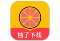手机下载器 柚子下载 v1.5.7 高级版