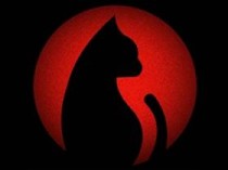 追剧猫(追剧随心所欲,随搜随看) v4.2.0 去广告版