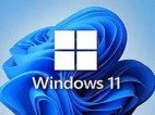 小修Win11 v23H2(22631.4169) 稳定极限版