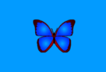 bkViewer v8.8 绿色版(小巧精悍的数码照片浏览器)