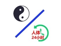 中医经络穴位流注 v3.2 去广告高级解锁版