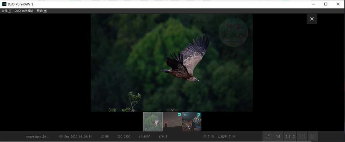 DxO PureRAW（图像处理软件）v5.12.0 Build 24 中文绿色便携版 第1张
