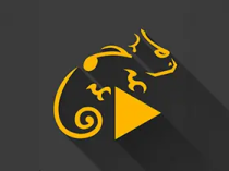 蜥蜴音乐播放器(Stellio Player) v6.10.0 去广告解锁高级版