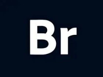 Adobe Bridge 2026(矢量绘图软件) v16.0.5.19.00 直装版