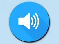 Volume Control Pro「音量控制器+」v6.8.4 直装付费专业版