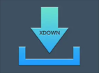 Xdown v2.0.9.5 (支持油管下载) 免费无广告多线程下载工具