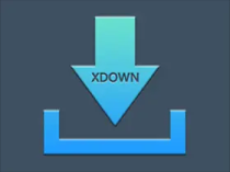 Xdown v2.0.9.5 (支持油管下载) 免费无广告多线程下载工具