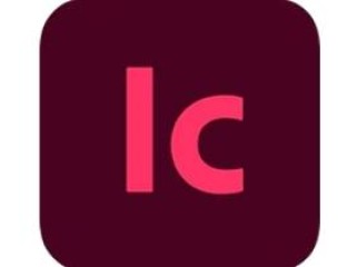 Adobe InCopy 2026(专业的文字编写和副本编辑) v21.4.0.074.0 直装版