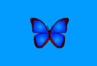 bkViewer v8.8 绿色版(小巧精悍的数码照片浏览器)